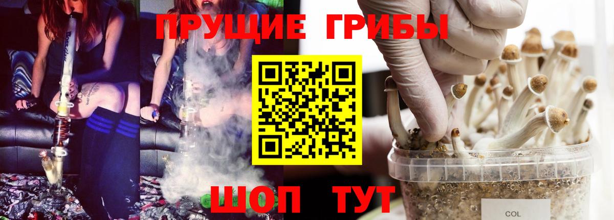 купить   Галлюциногенные грибы Cubensis  Вход с VPN  Реутов 