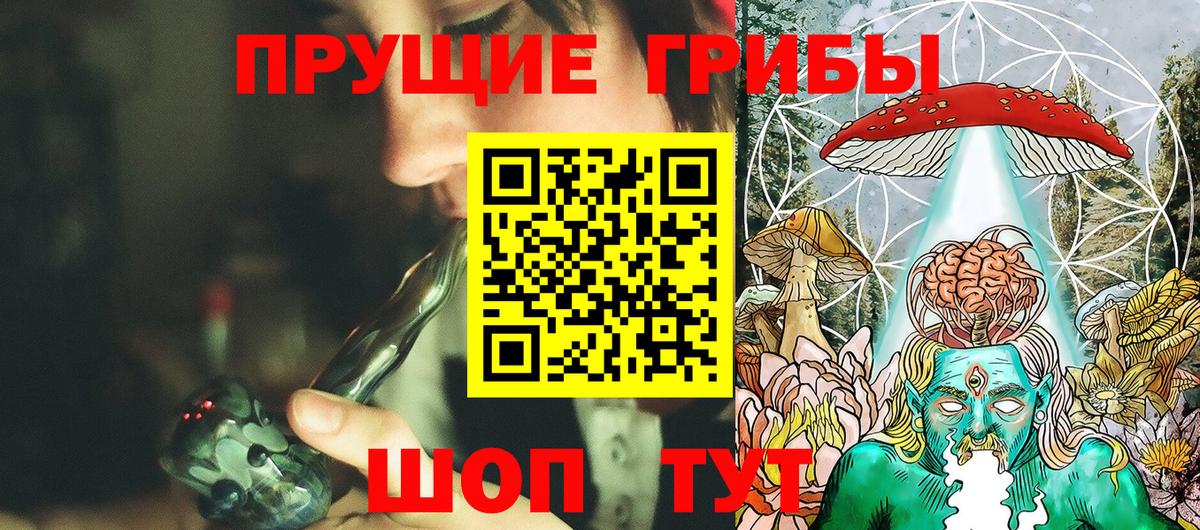 Псилоцибиновые грибы Psilocybe Реутов